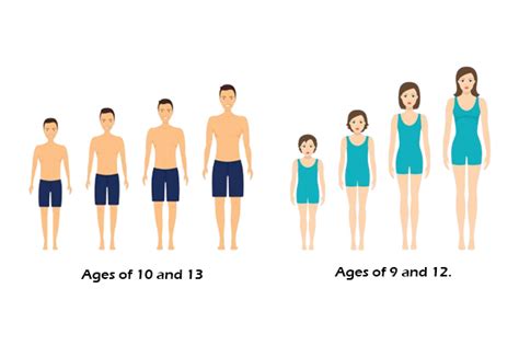 Puberty: Adolescent Female .